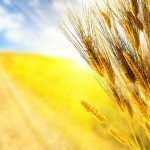 La joie d’évangéliser !