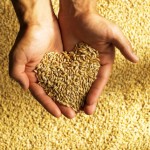 Grain de blé tombé en terre  – Carême en Ligne 2015