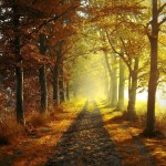 Choisir la vie ! Conclusion de la retraite – Avent 2015 : « Dieu est Amour et Miséricorde »