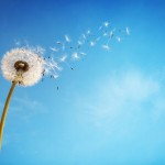 « Tuer le temps » – Chemin de Carème