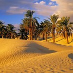 A contre-courant – Chemin de Carême