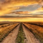 Préparez la route – Mercredi de la 2e semaine de l’Avent