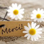 Octave de Noël – Un cadeau ou un signe de contradiction?