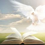 Restons éveillés ! – 1er Dimanche de l’Avent