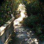 Le chemin de la « simplicité volontaire »