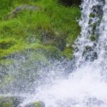 Oser la vérité à la Lumière de l’Amour…