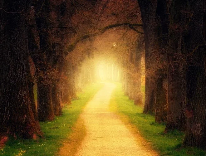  Je suis le chemin, la vérité et la vie